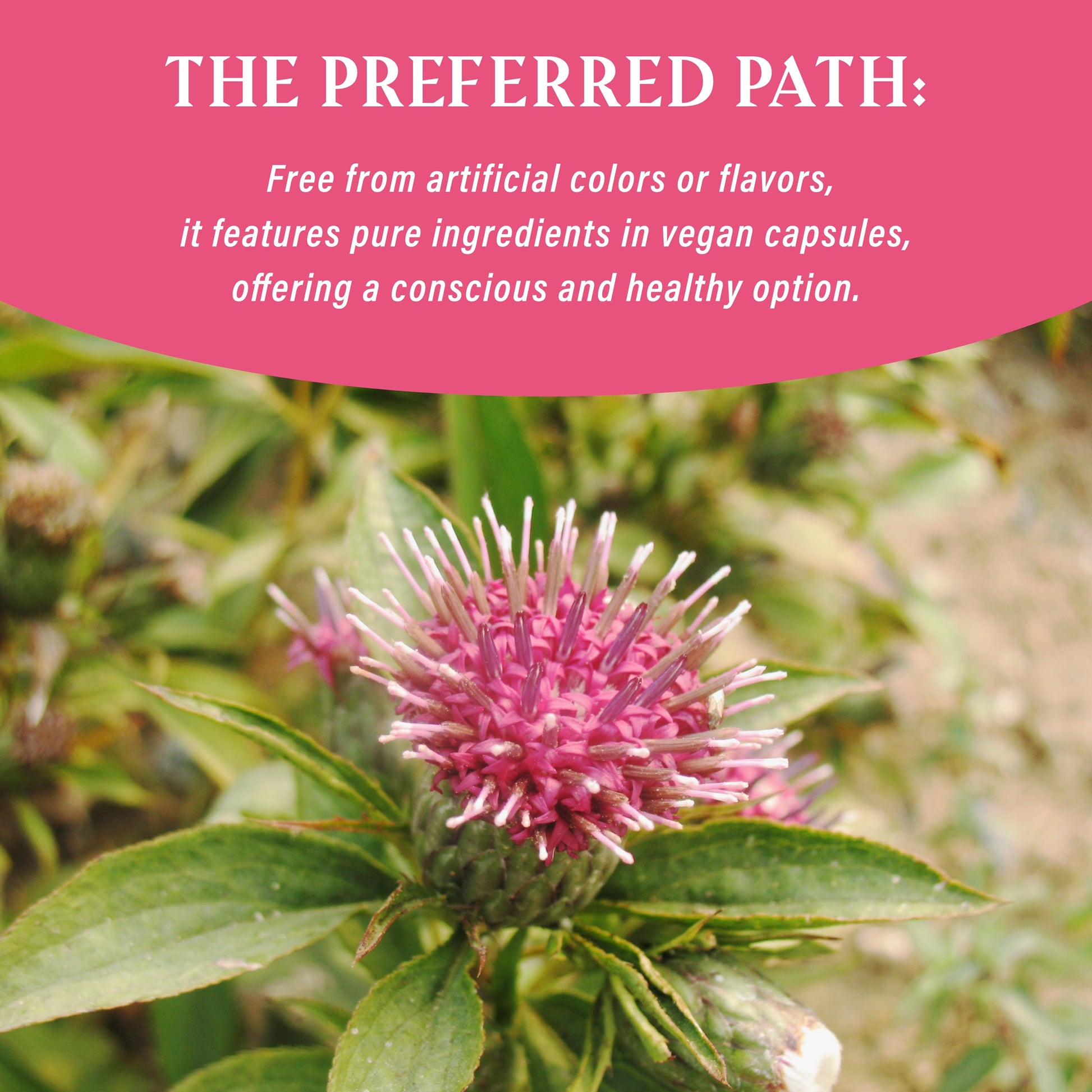 NUWONDER Women's probiotic - Natural Vaginal Support Supplement, Balanced & Confident NUWONDER