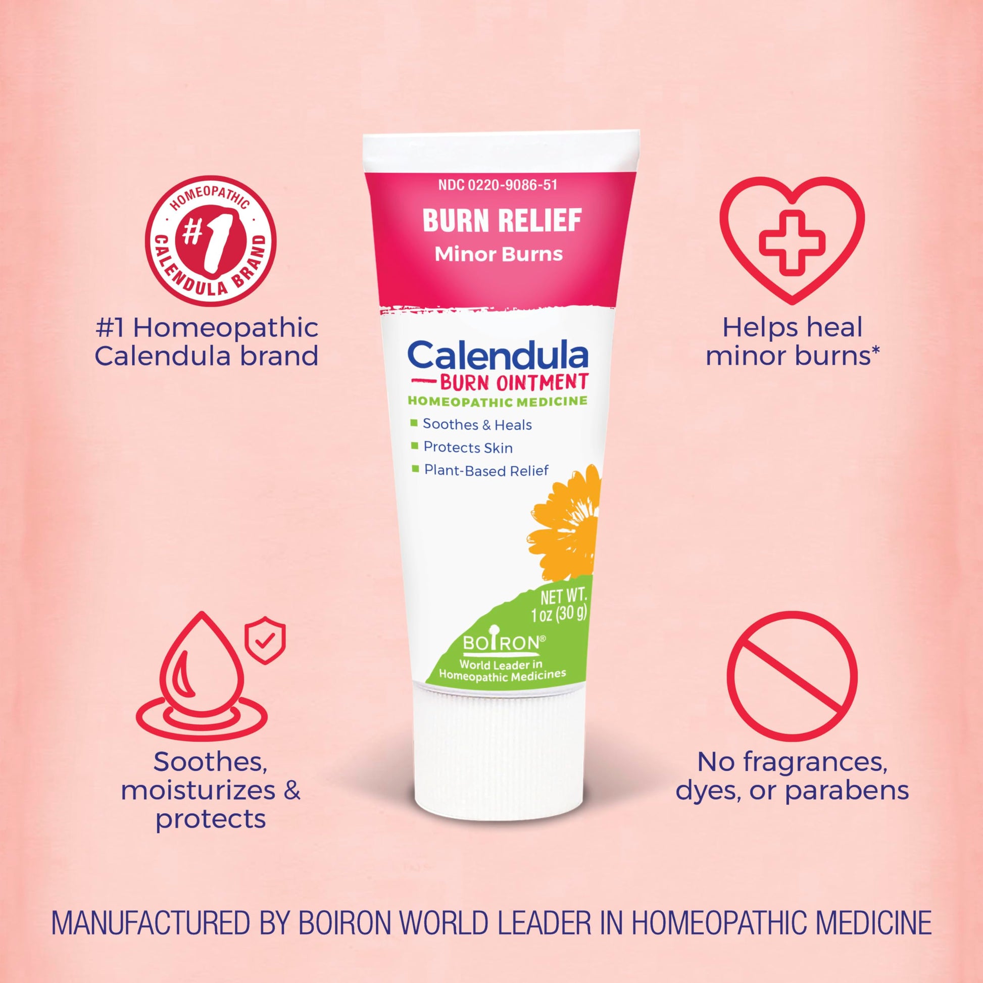 Boiron Calendula Burn Ointment for Relief from Minor Burns from Cooking, Friction, or Sunburns - 1 oz Boiron