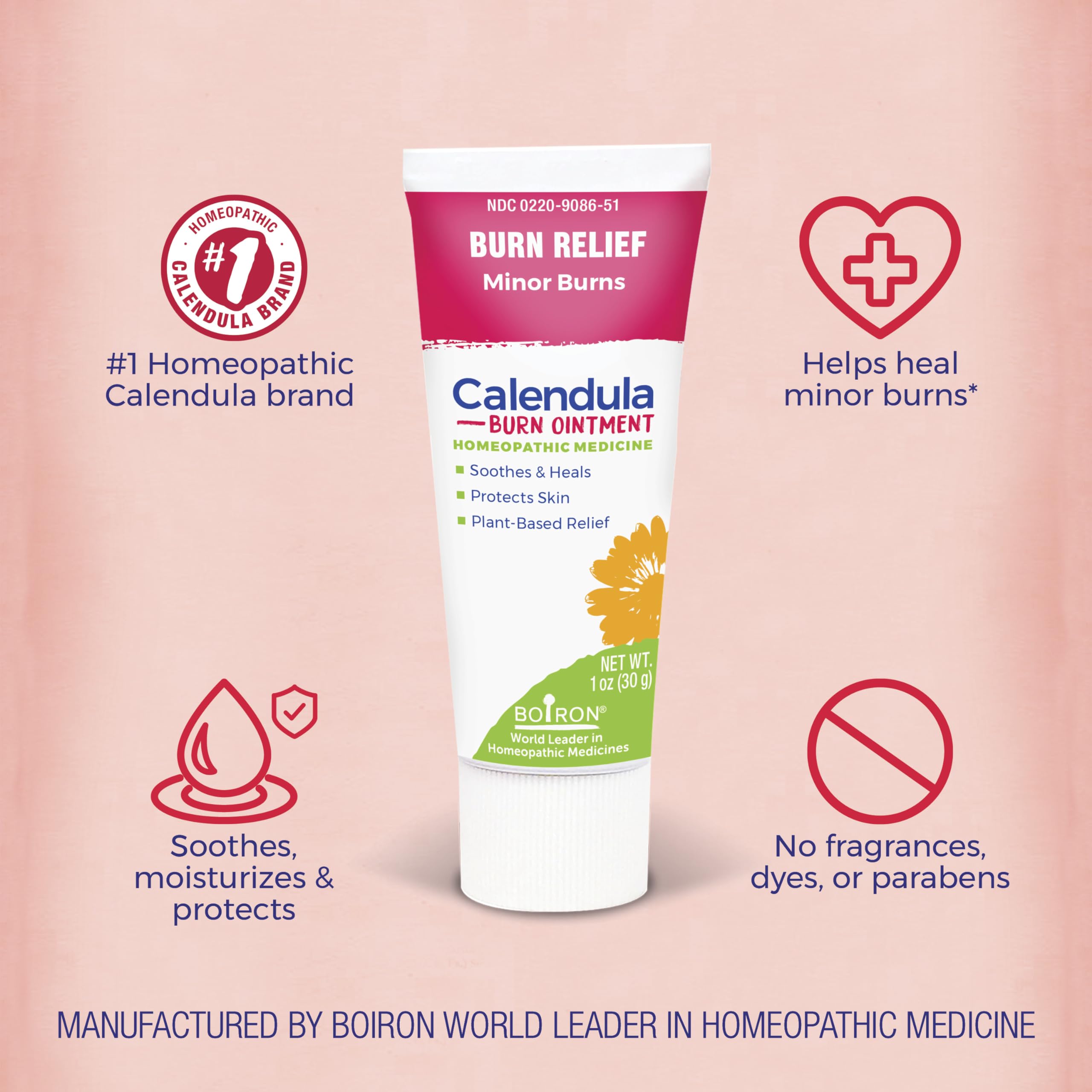 Boiron Calendula Burn Ointment for Relief from Minor Burns from Cooking, Friction, or Sunburns - 1 oz Boiron