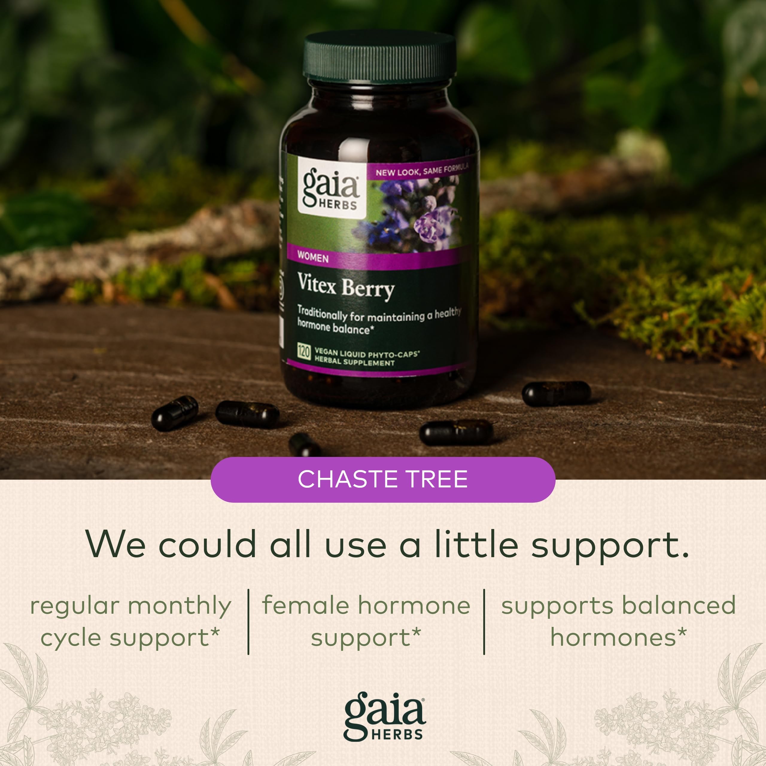 Gaia Herbs Vitex Berry (Chaste Tree) - Supports Hormone Balance & Fertility Gaia Herbs