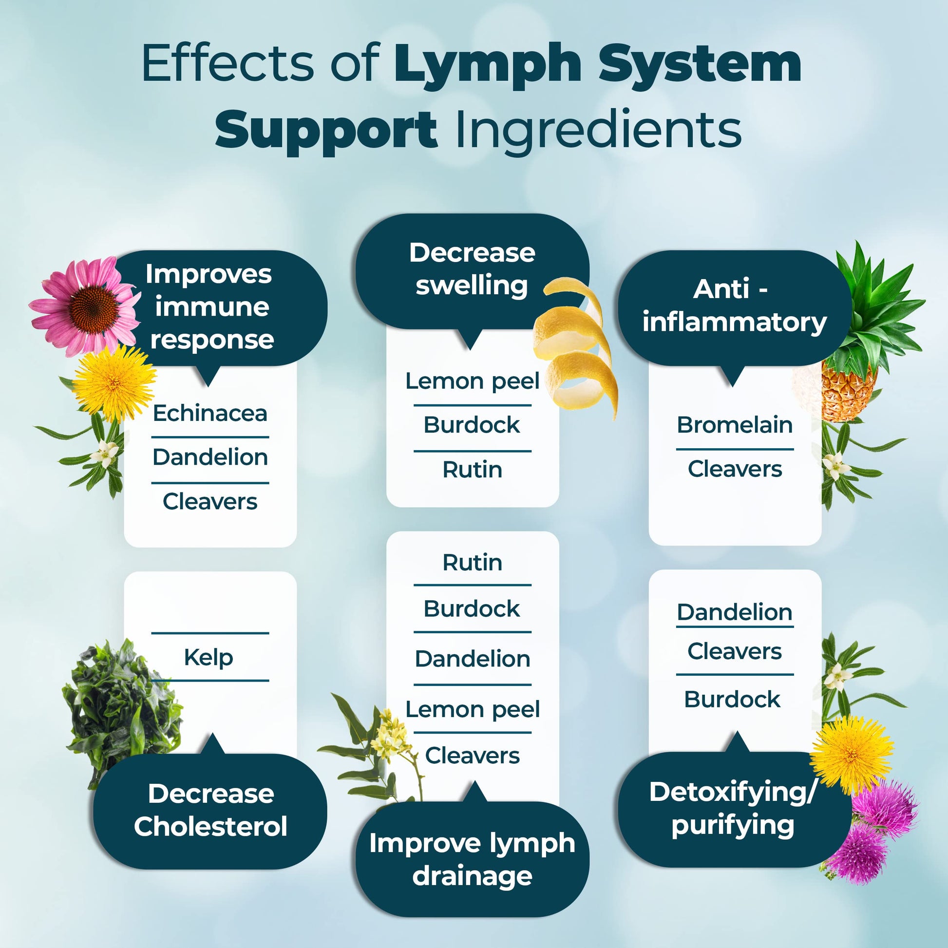 PUREHEALTH RESEARCH Lymph System Support Supplement - Lymphatic Drainage Supplement PUREHEALTH RESEARCH
