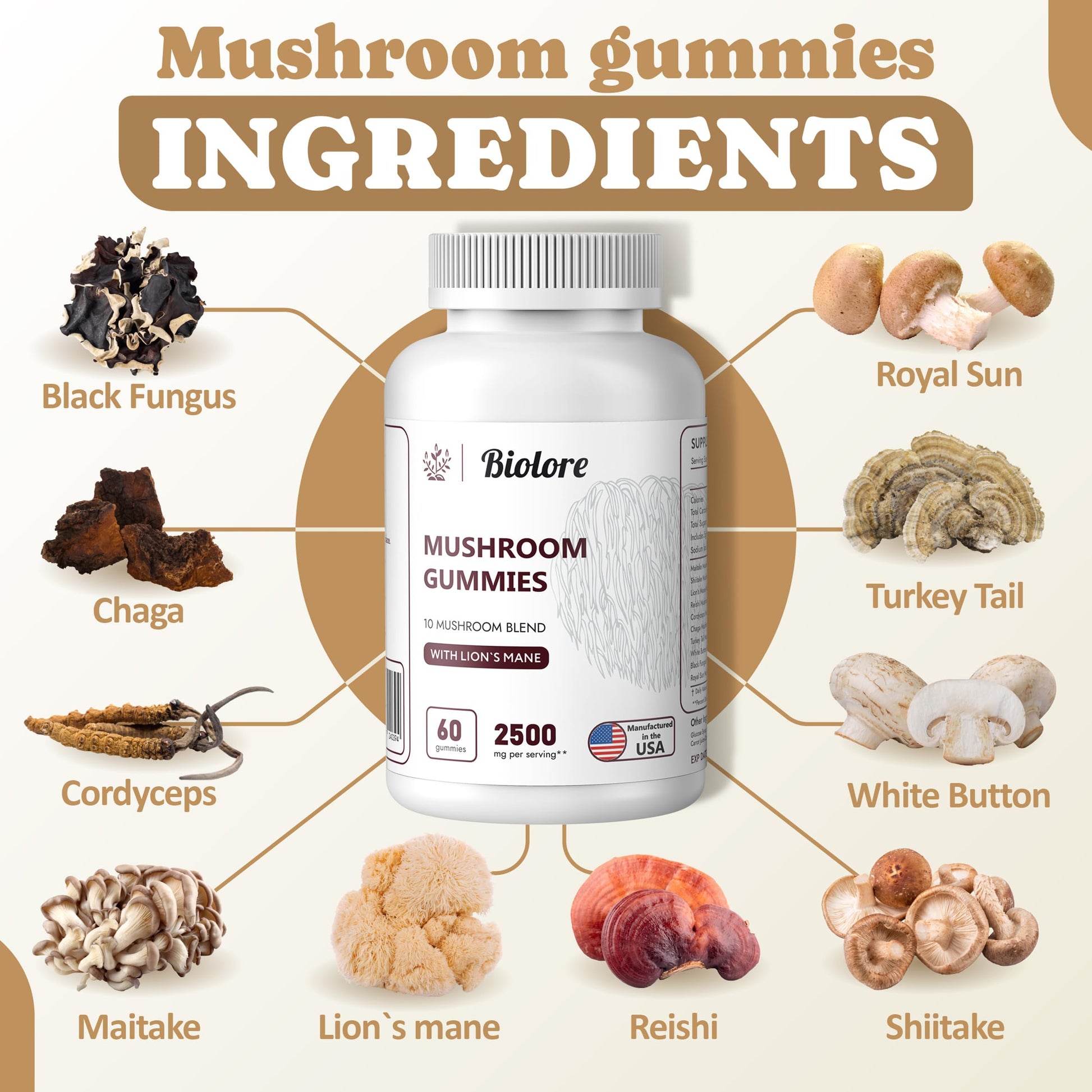 Biolore Mushroom Complex Gummies: 10 Powerful Mushrooms with Chaga, Lions Mane Biolore