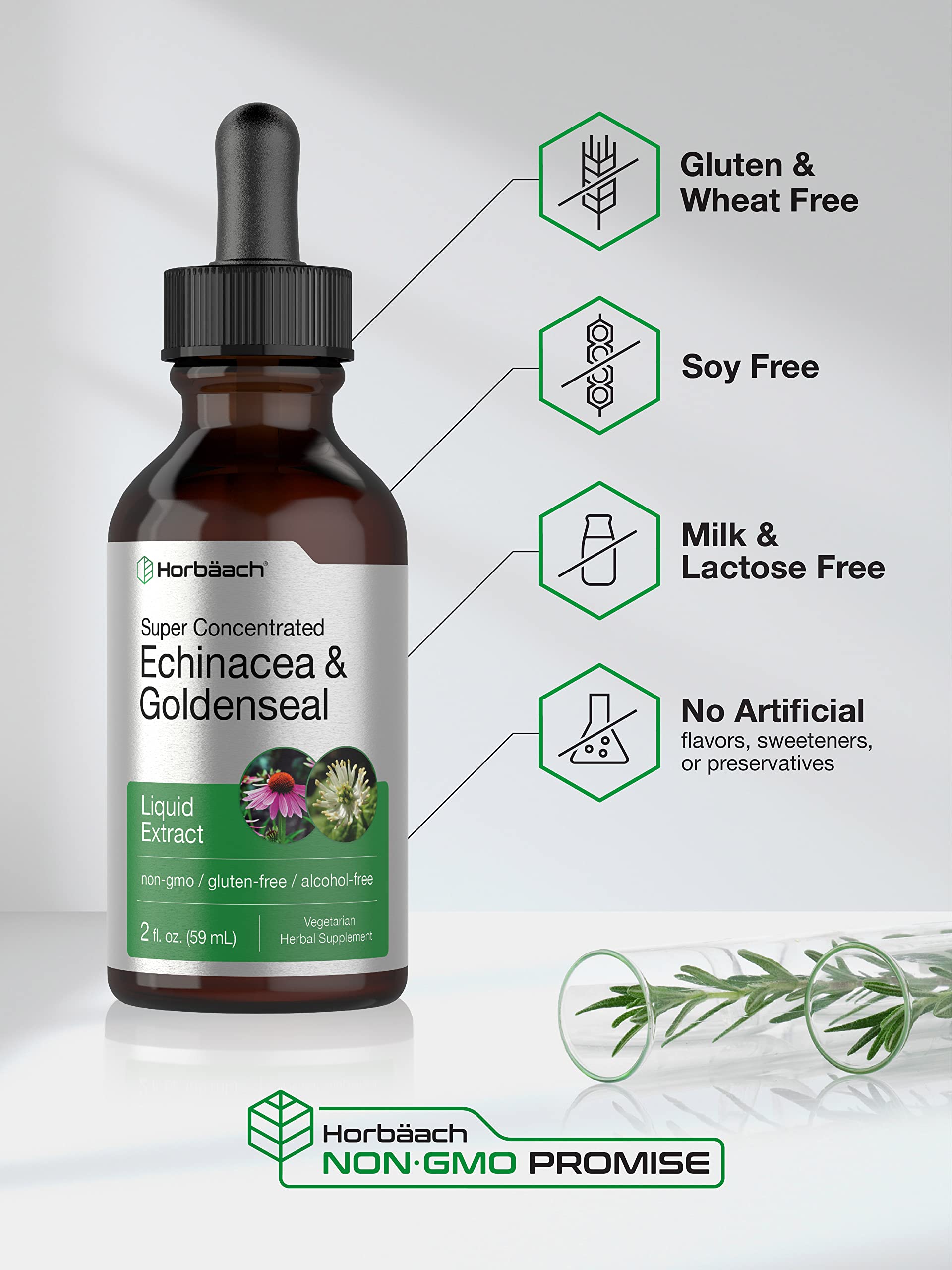 Echinacea Goldenseal Liquid Extract | 2 fl oz | Alcohol Free Tincture Drops | Vegetarian Horbäach
