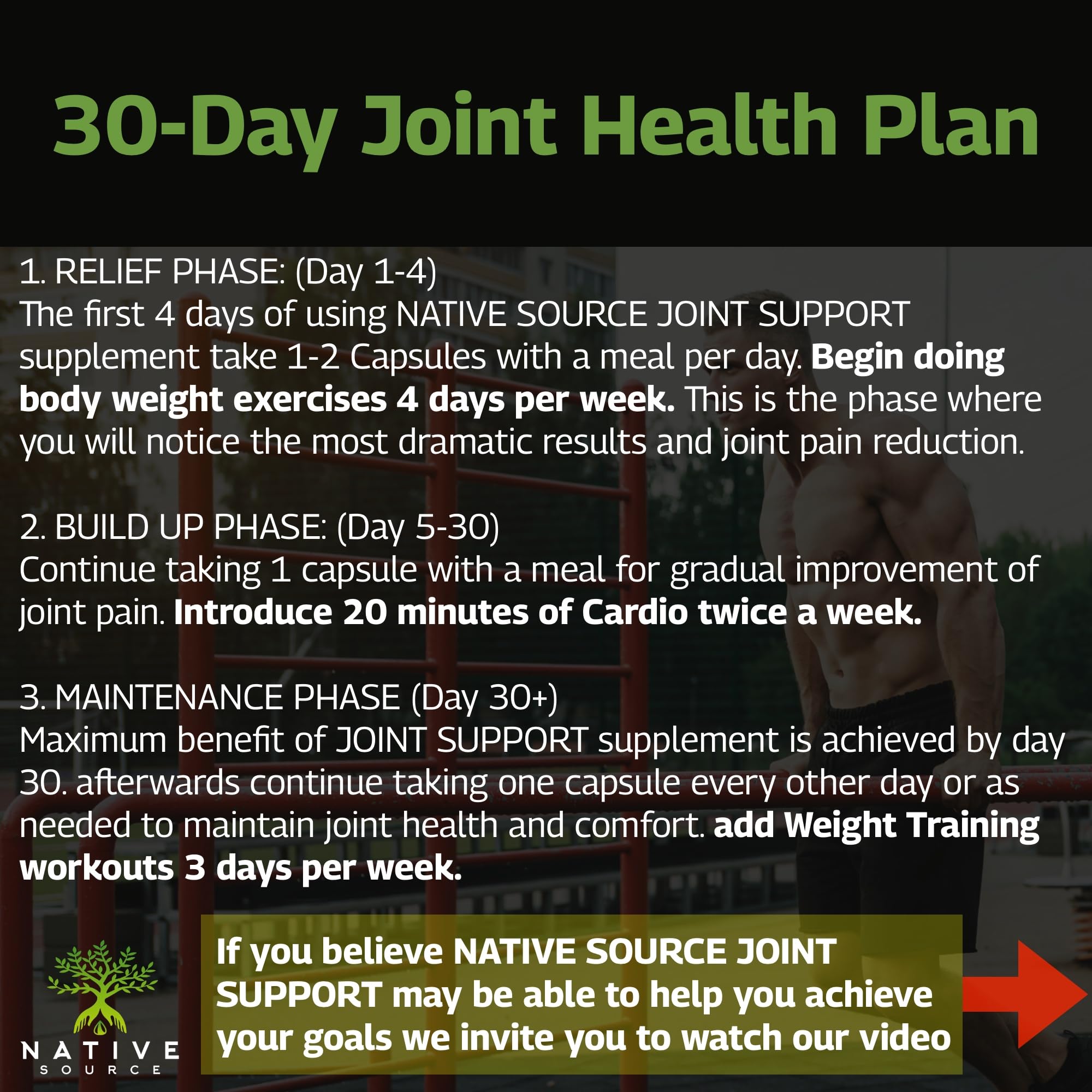 Native Source Joint Support Supplement - Turmeric - Tamarind - Boswellia - Fenugreek Native Source