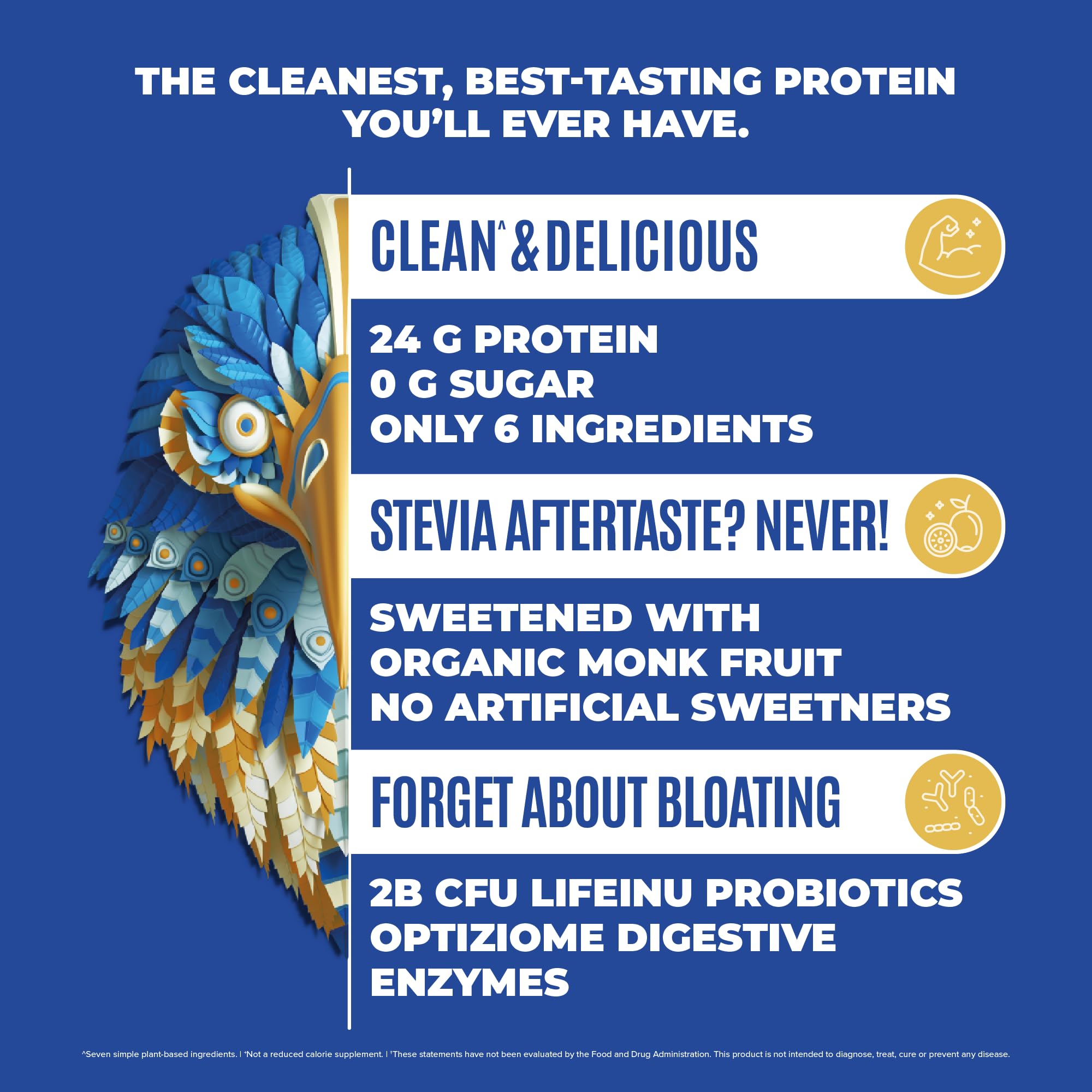 BIRDMAN Falcon Vegan Protein Powder Organic, Stevia & Sugar Free, Plant Based Protein BIRDMAN