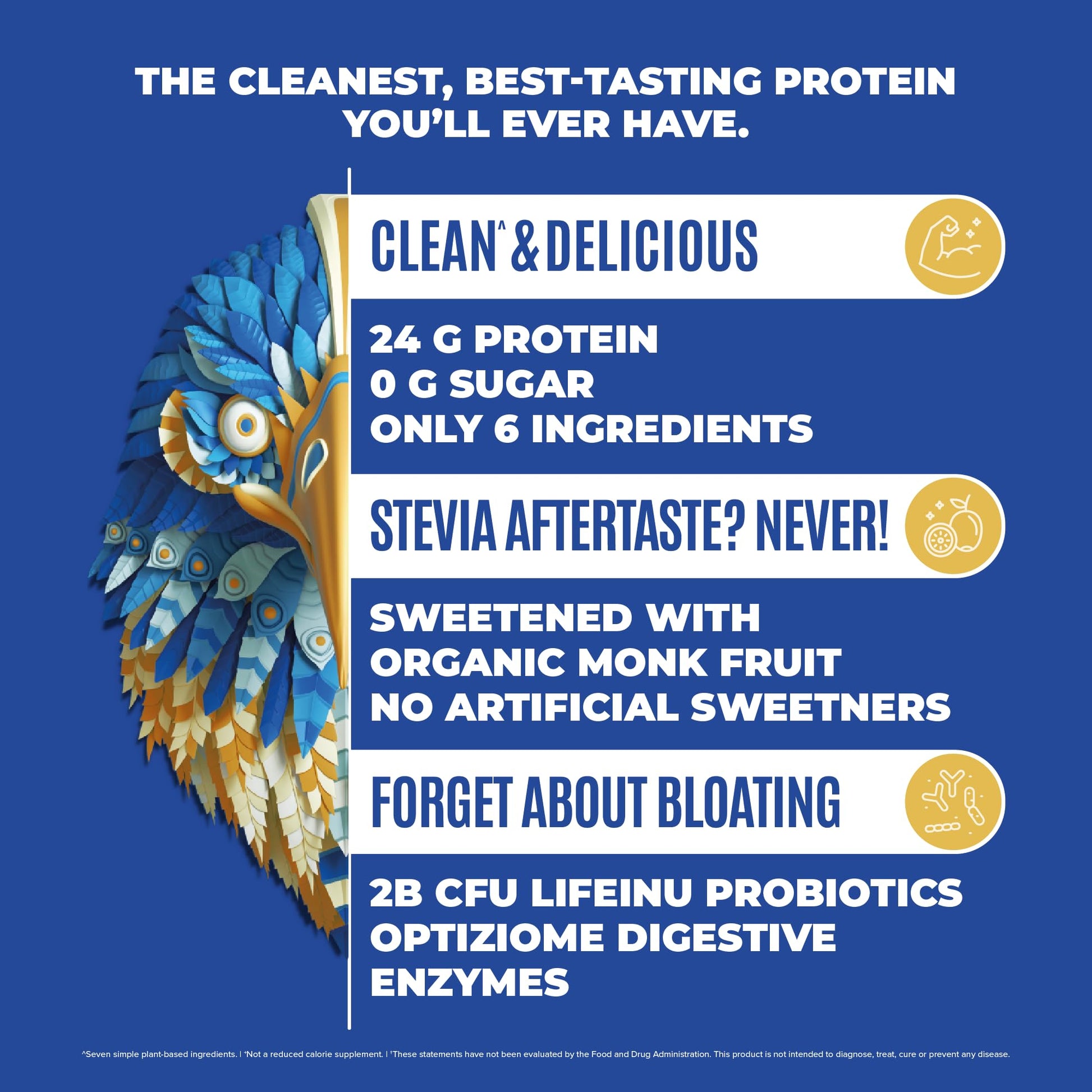 BIRDMAN Falcon Vegan Protein Powder Organic, Stevia & Sugar Free, Plant Based Protein BIRDMAN