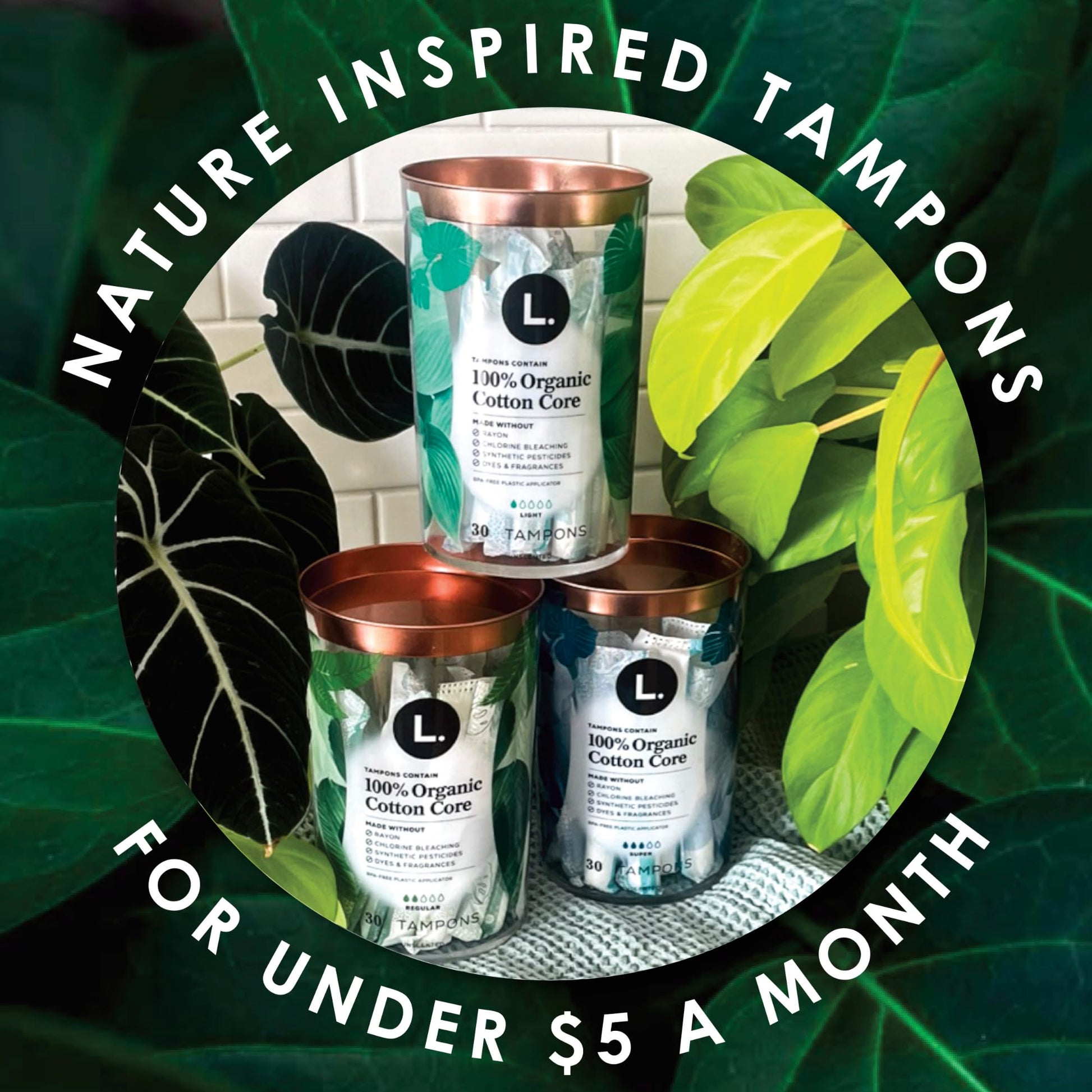 L. Organic Cotton Tampons - Regular 42 Count x 2 Packs (84 Count Total) (Packaging May Vary) L.