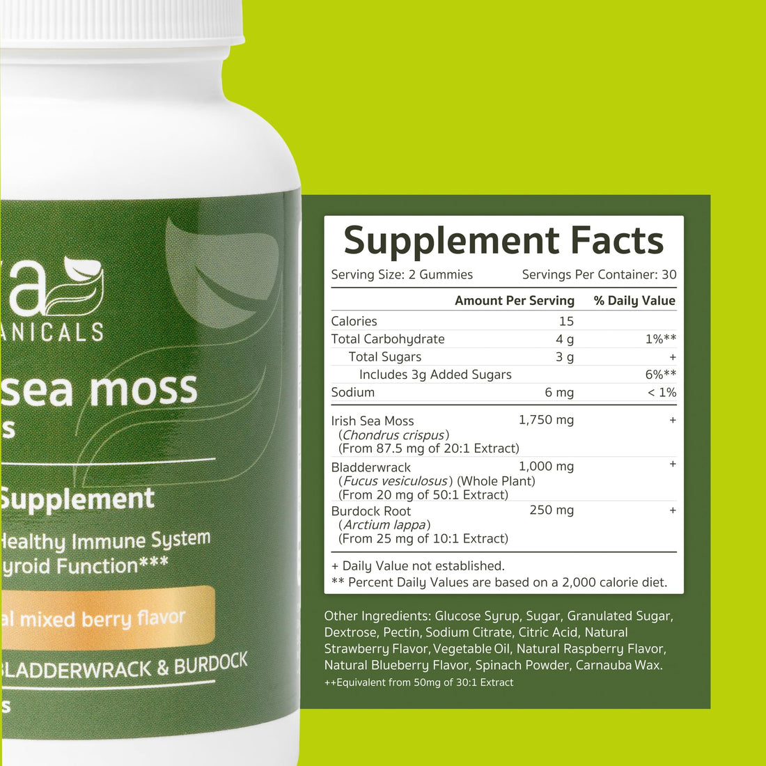 Jiva Botanicals - Irish Sea Moss Gummies with Bladderwrack & Burdock Root 3000mg 