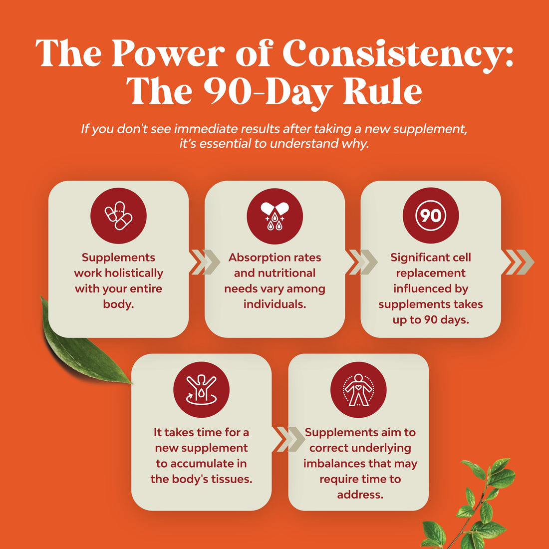 Antarctic Krill Oil 2000mg Softgels Per Serving - Omega 3 Krill Oil Supplement 