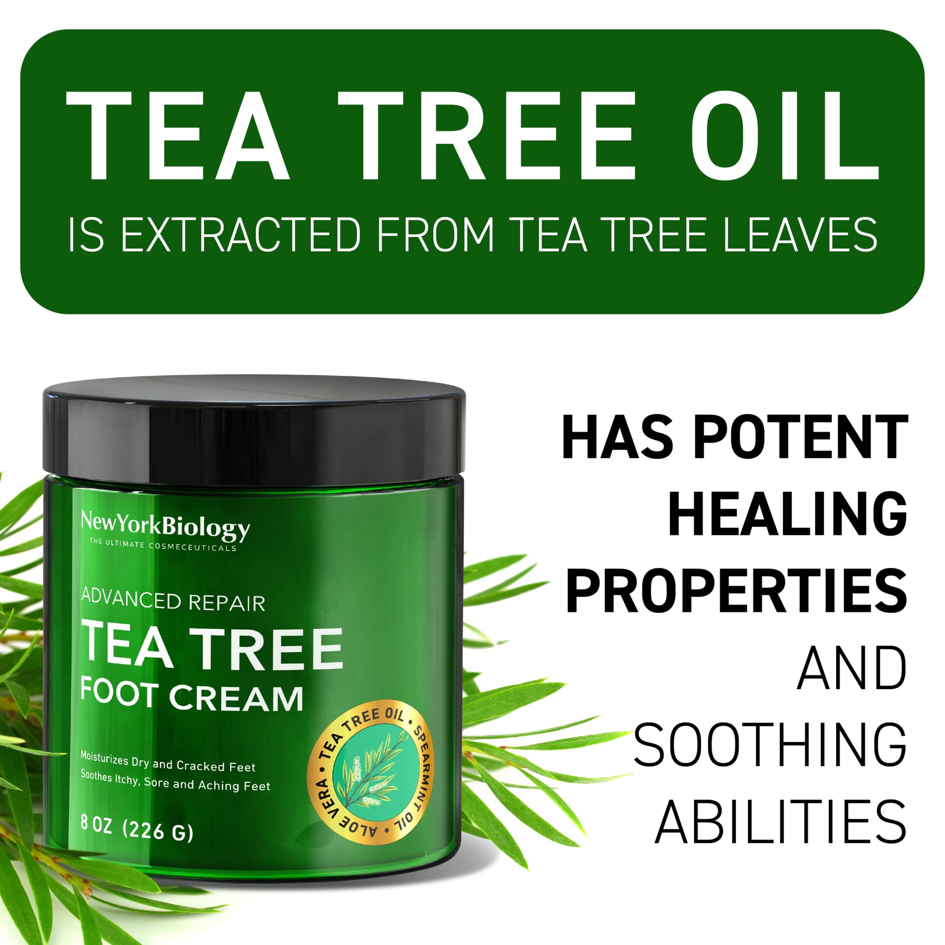 New York Biology Tea Tree Oil Foot Cream for Dry Cracked Feet, Athletes Foot, Nail Fungus NEW YORK BIOLOGY THE ULTIMATE COSMECEUTICALS