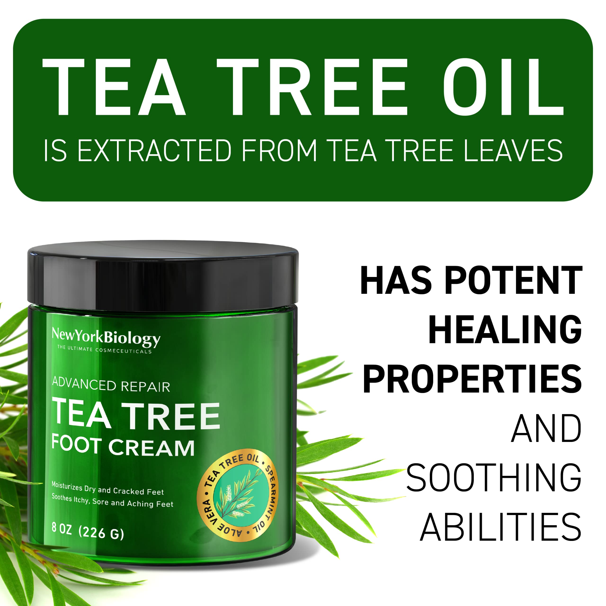 New York Biology Tea Tree Oil Foot Cream for Dry Cracked Feet, Athletes Foot, Nail Fungus NEW YORK BIOLOGY THE ULTIMATE COSMECEUTICALS