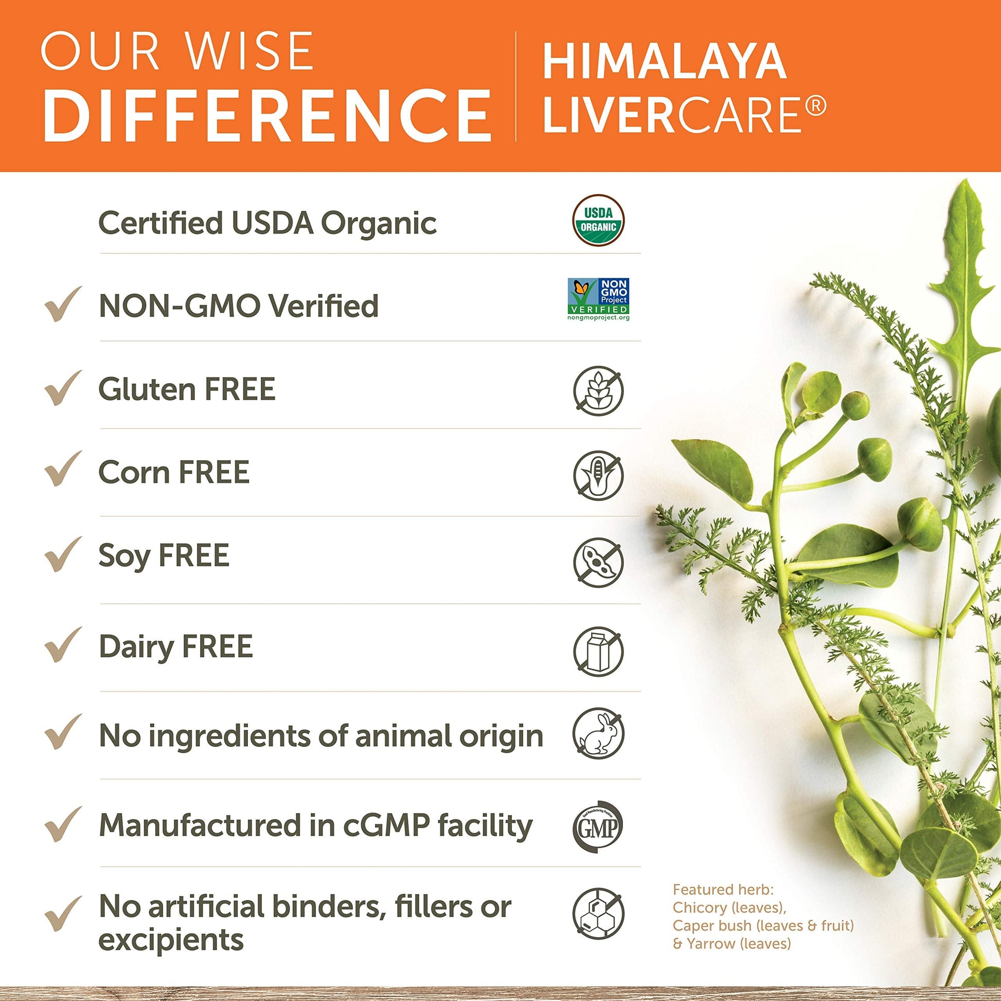 Himalaya LiverCare for Liver Cleanse and Liver Detox, 375 mg, 180 Capsules Himalaya