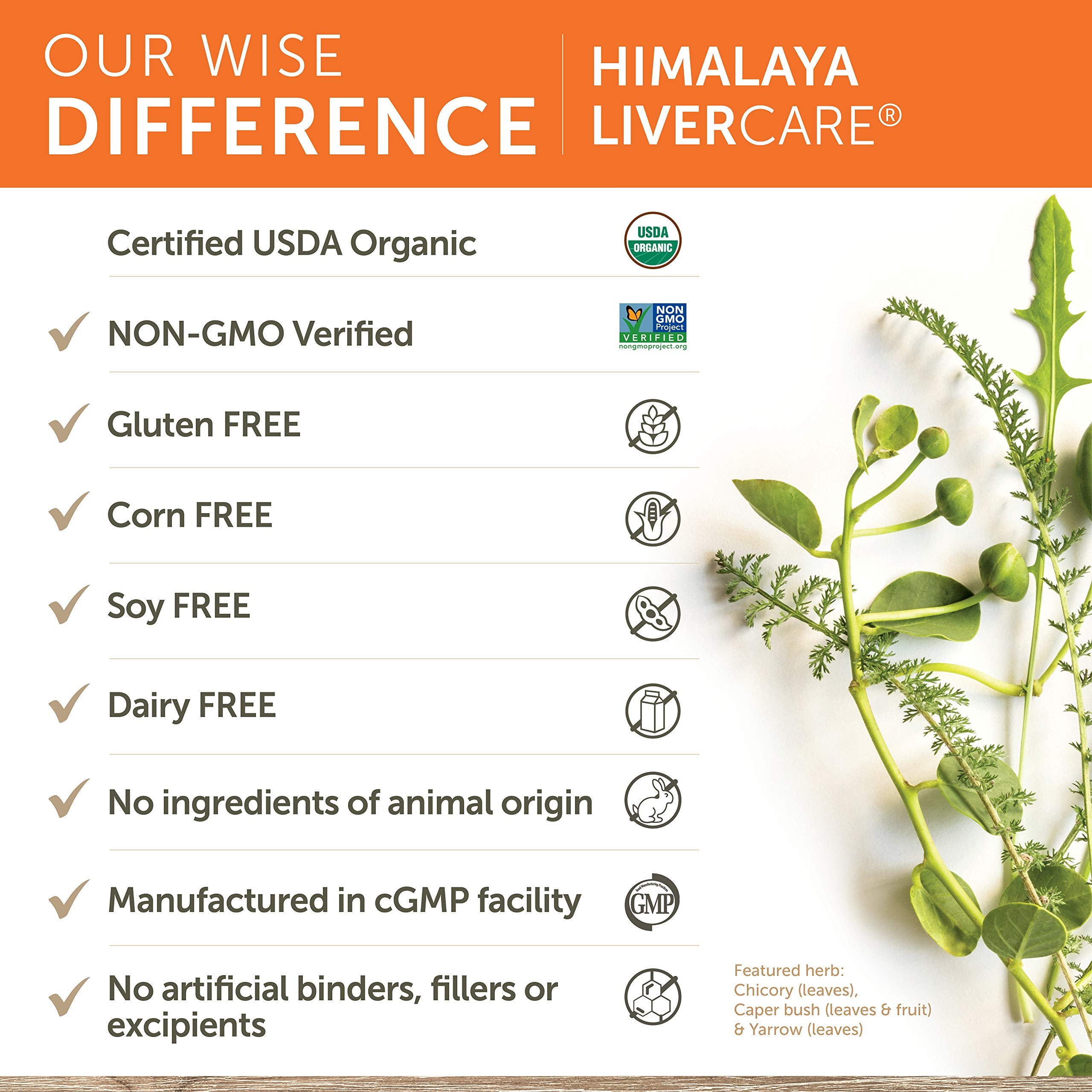 Himalaya LiverCare for Liver Cleanse and Liver Detox, 375 mg, 180 Capsules Himalaya