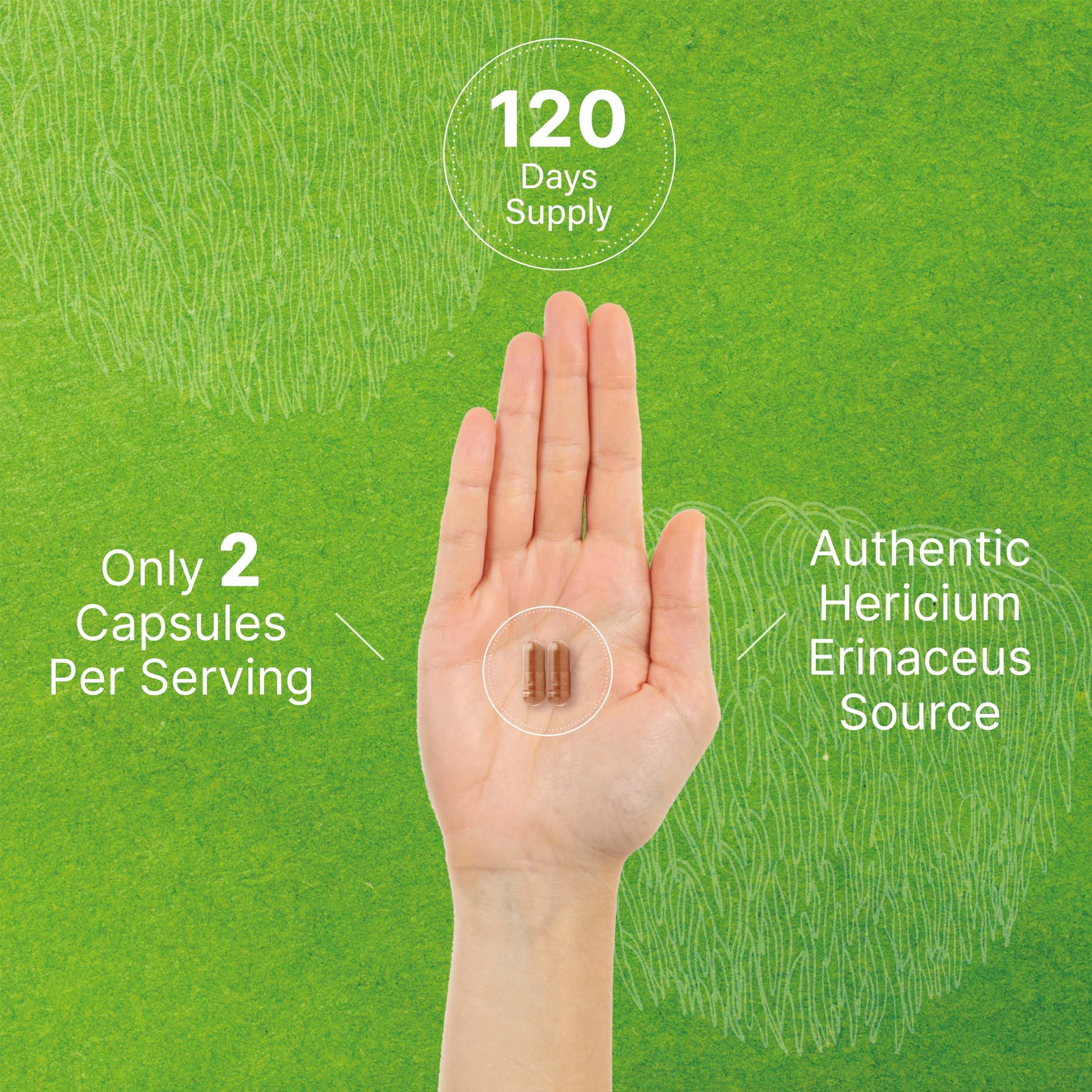 Lions Mane Mushroom Supplement, 7,500mg Per Serving, 240 Capsules – Active Fruiting DEAL SUPPLEMENT