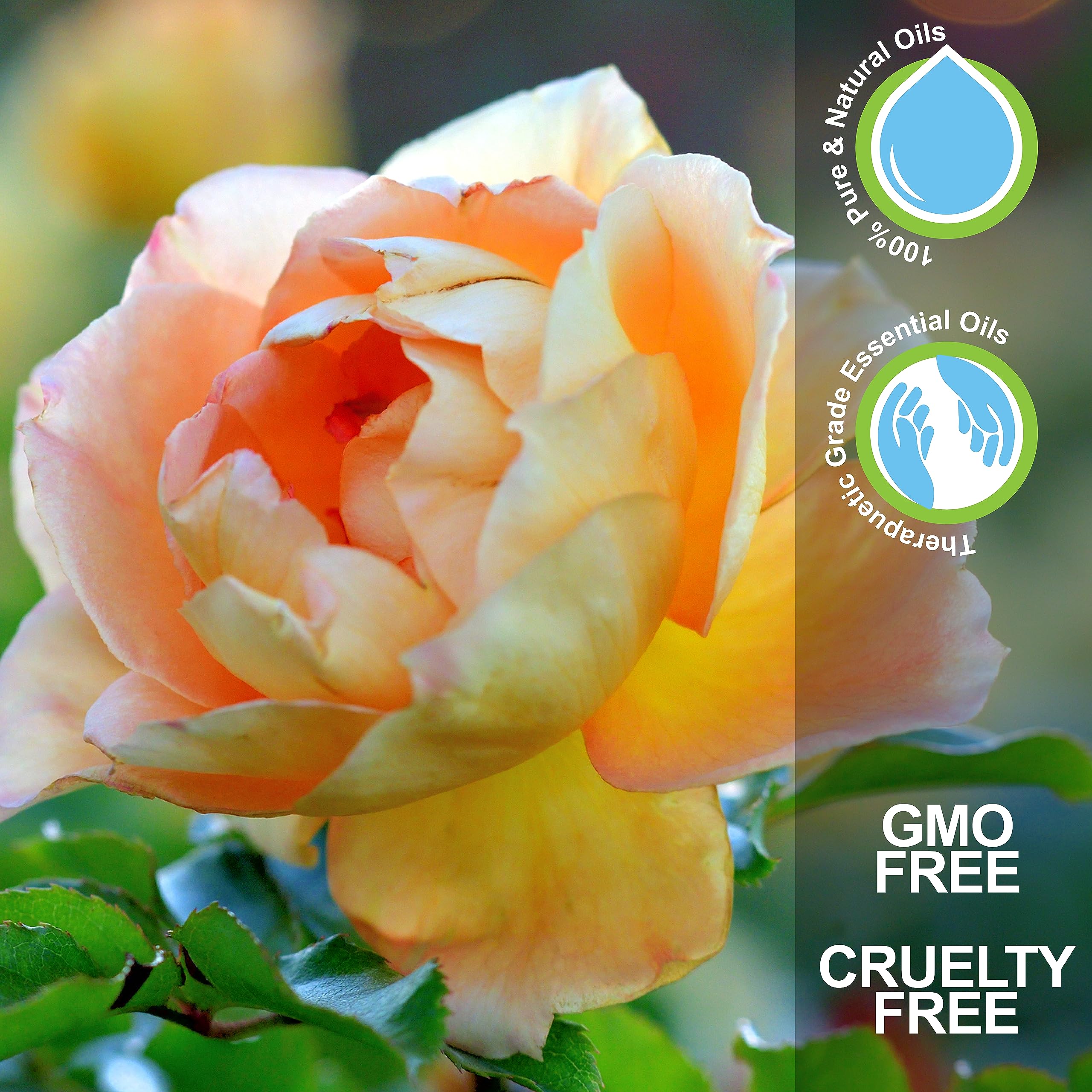 NV Superfoods Cycle Support - Essential Oil Roll-On - 10 ml – 100% Pure Therapeutic Grade NV Superfoods