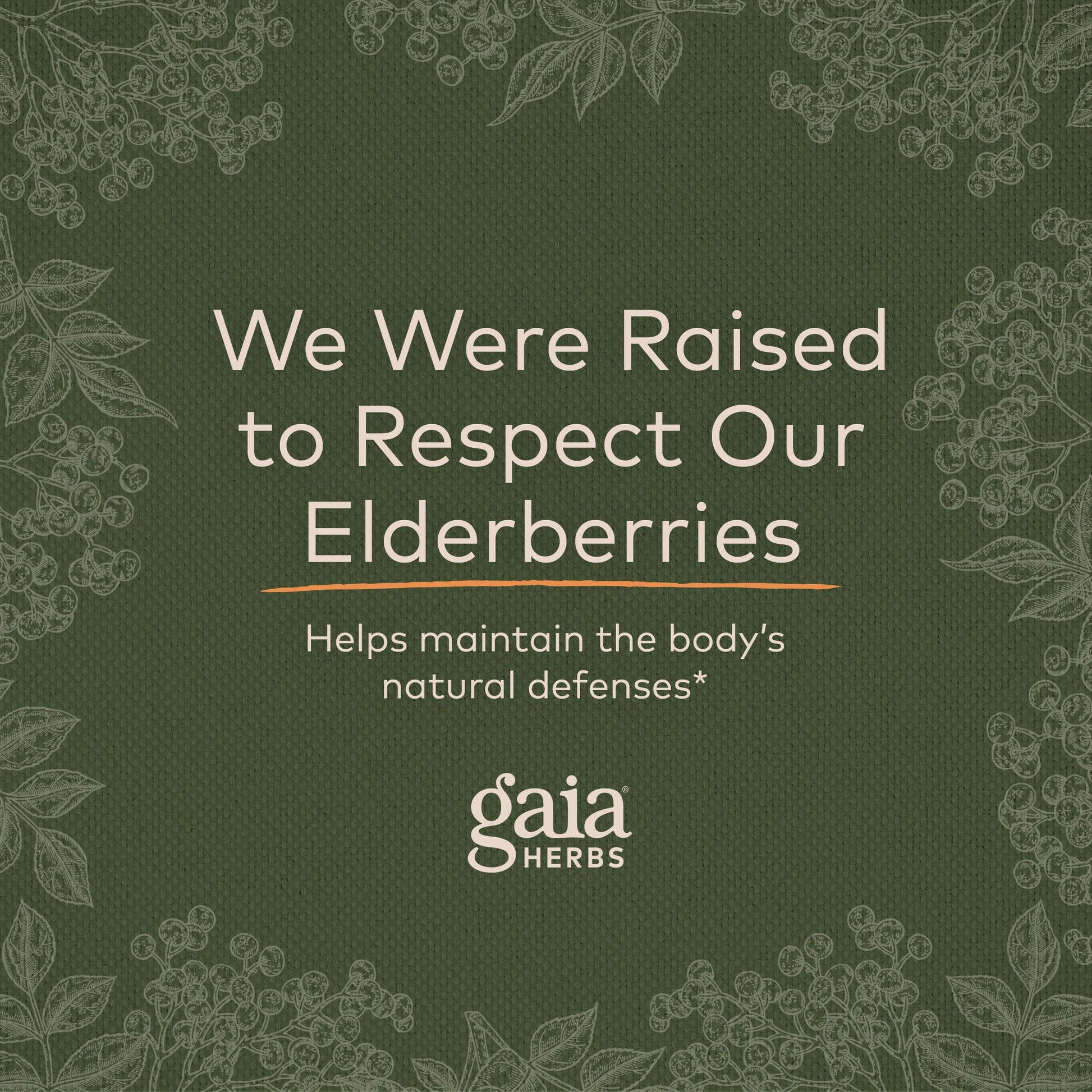 Gaia Herbs Black Elderberry (Sambucus Nigra) Extra Strength Gummies Gaia Herbs