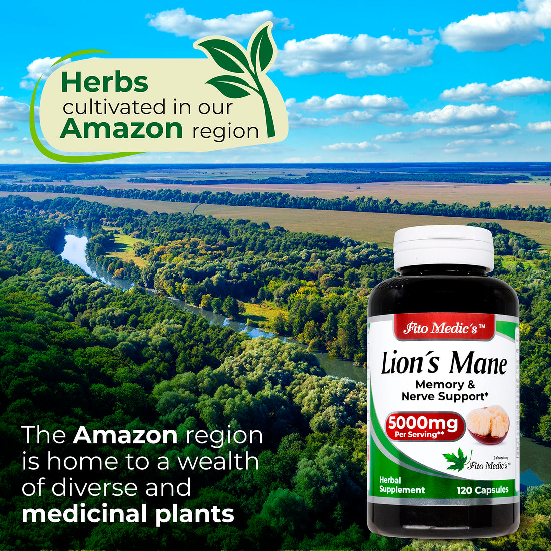 Lab | Lions Mane | 5000 mg per Serving | 120 Capsules | lions mane supplement | lions mane