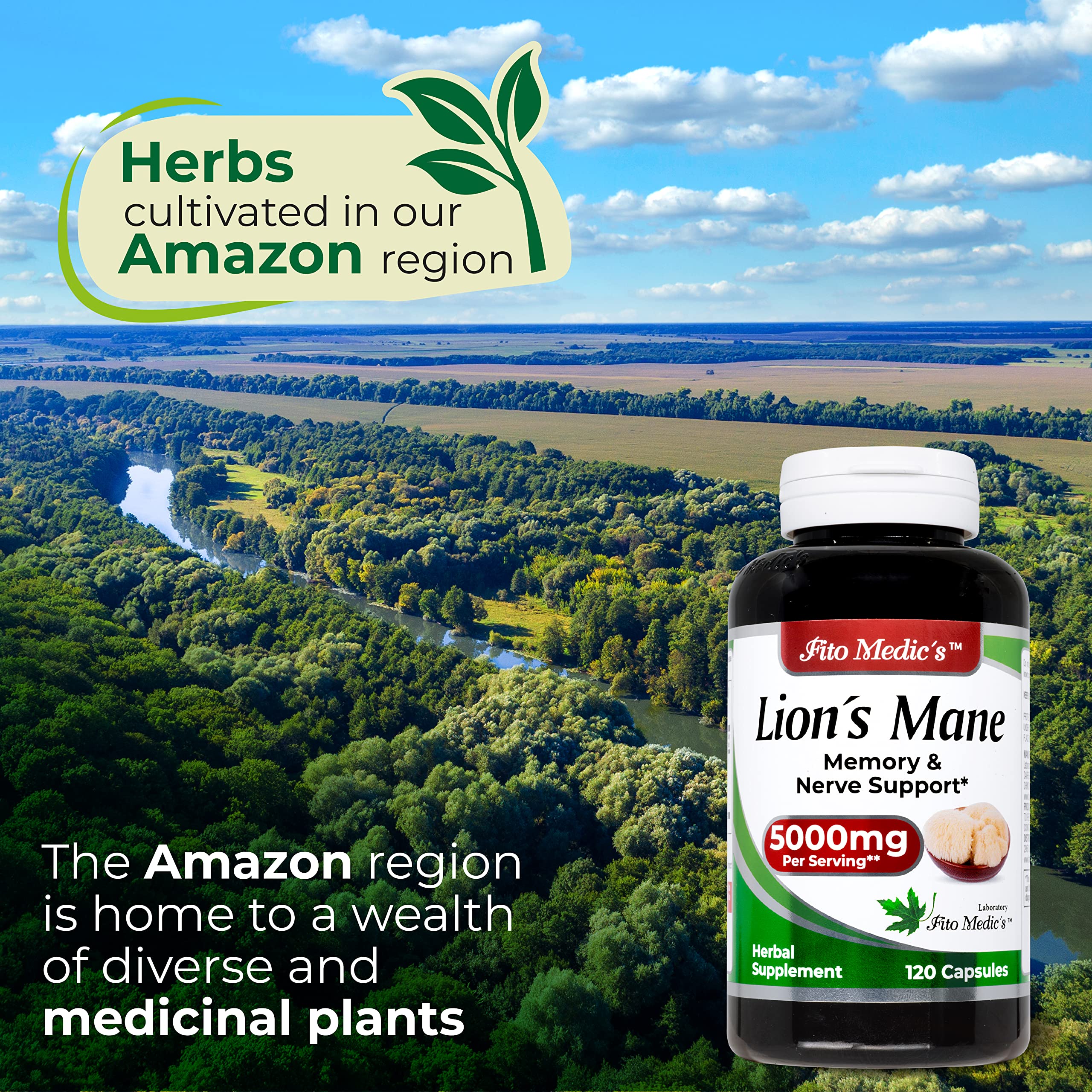 Lab | Lions Mane | 5000 mg per Serving | 120 Capsules | lions mane supplement | lions mane FITO MEDIC'S