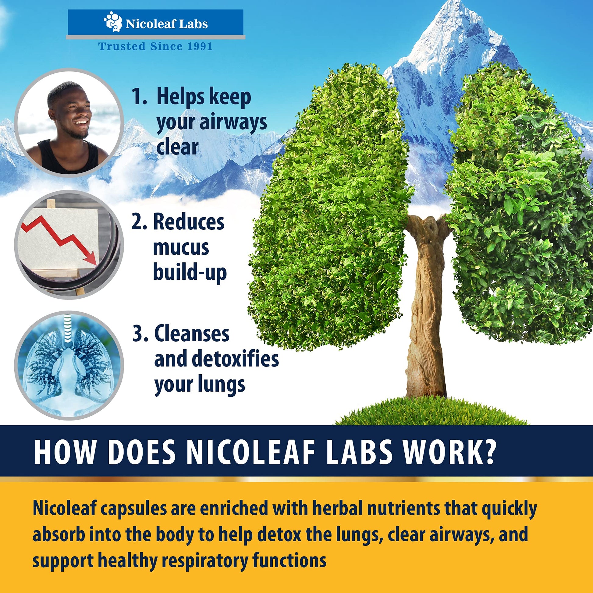 Smoker's Cleanse - Quit Smoking Aid & Respiratory Support - Made in USA NICOLEAF LABS