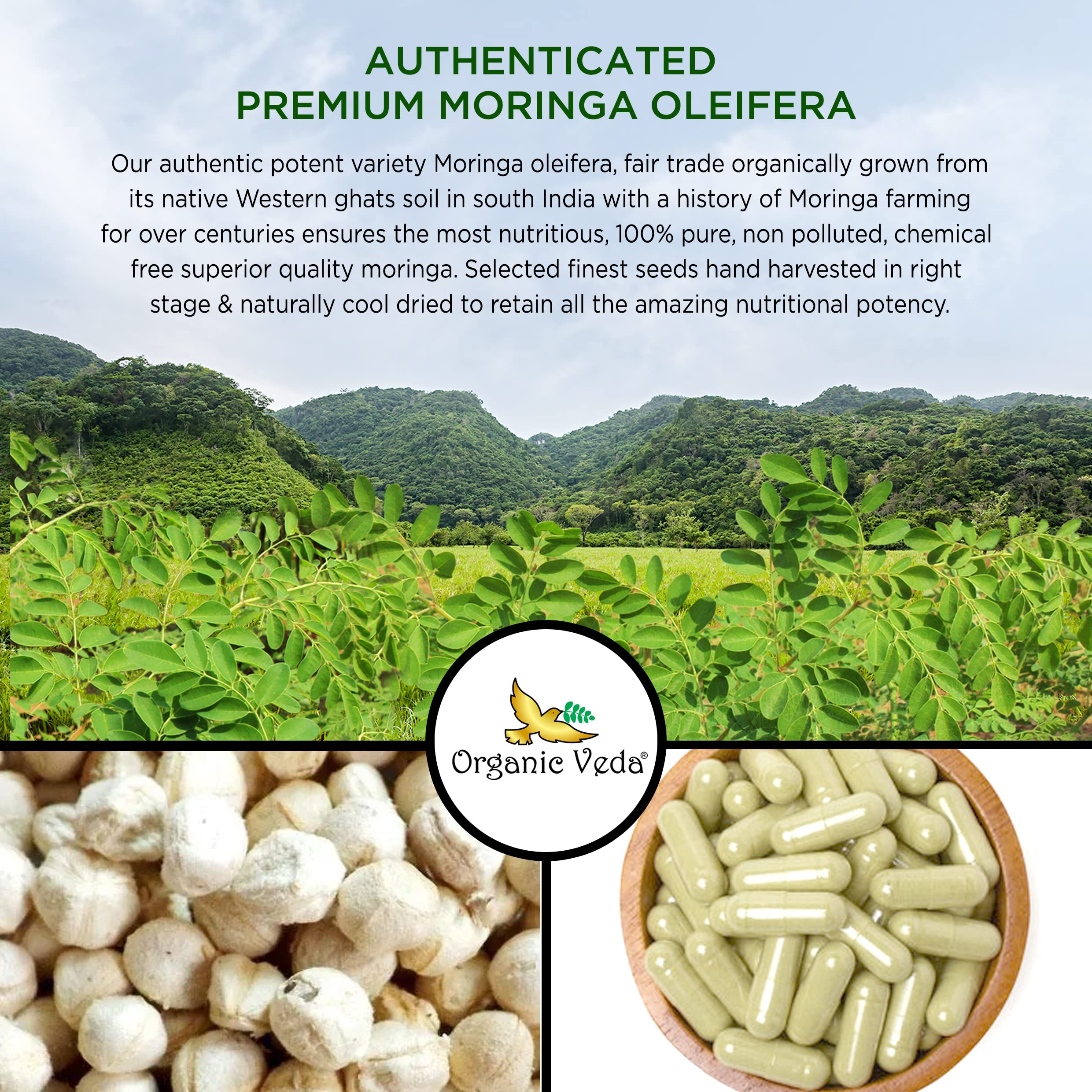 Organic Veda Moringa Seed Capsules - Pure Organic Moringa Capsules Seed Powder Organic Veda