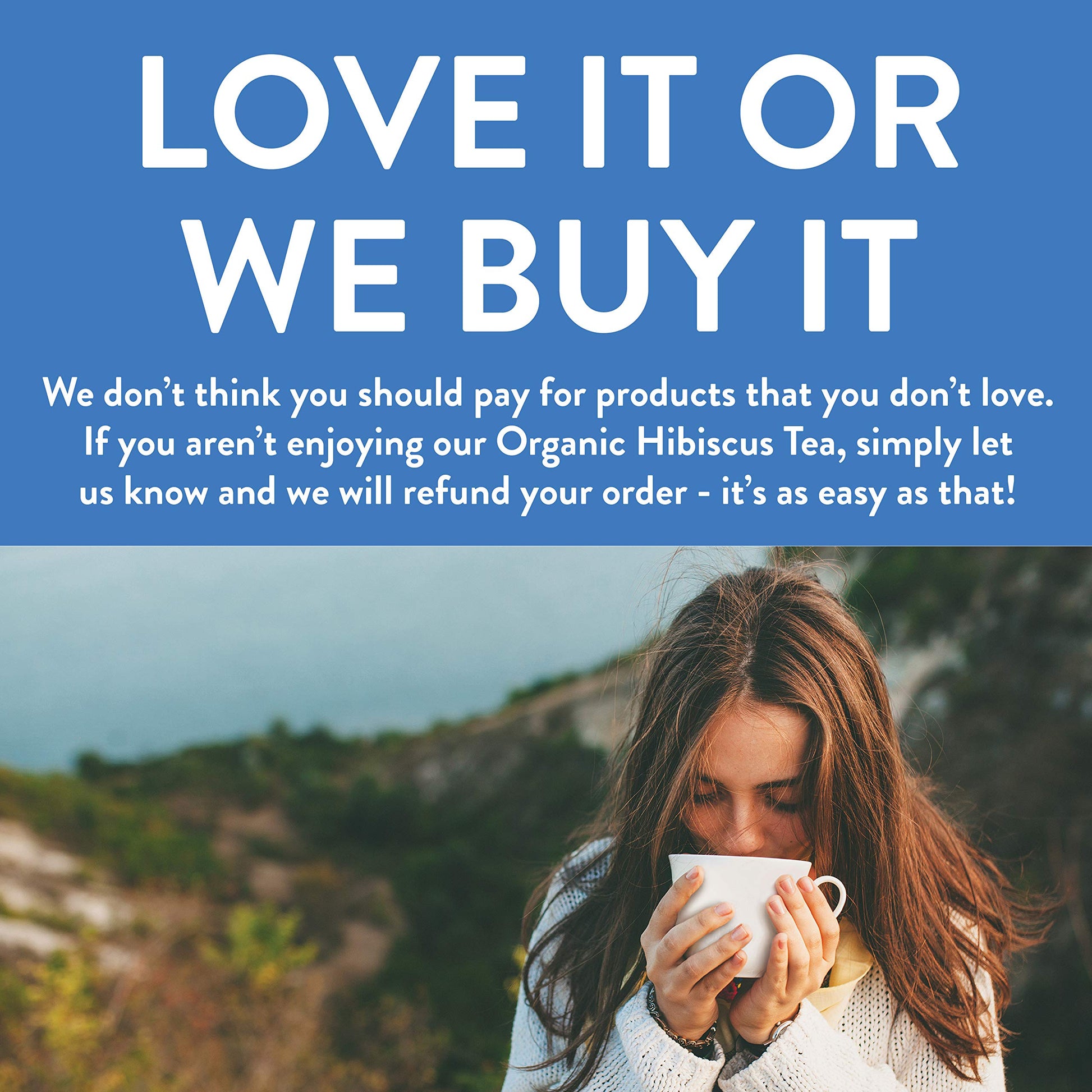 FGO Organic Hibiscus Tea, Eco-Conscious Tea Bags, 100 Count, Packaging May Vary FGO