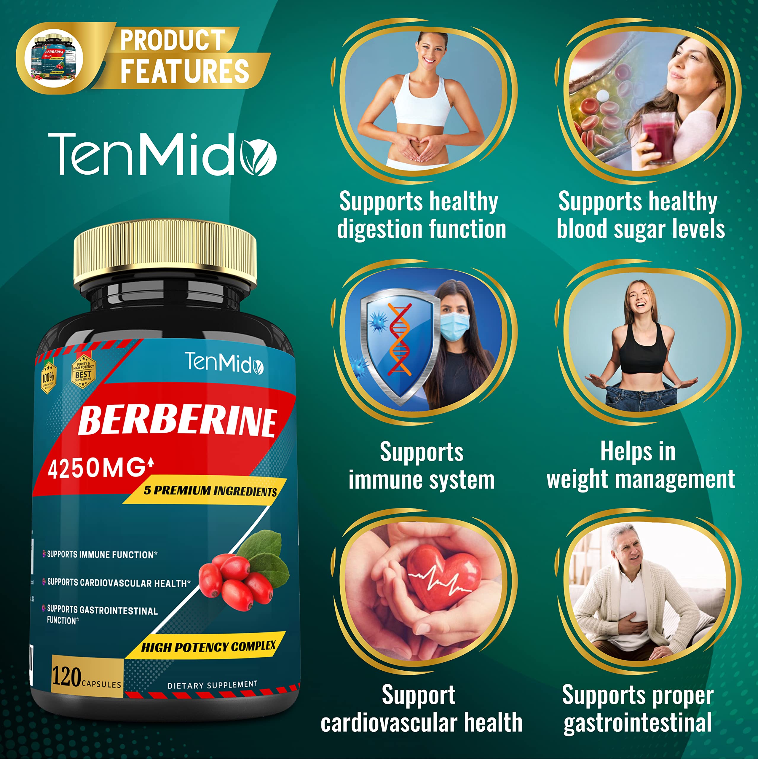 Berberine Extract Capsules 4250mg, 4 Months Supply & Ceylon, Milk Thistle, Turmeric Tenmido