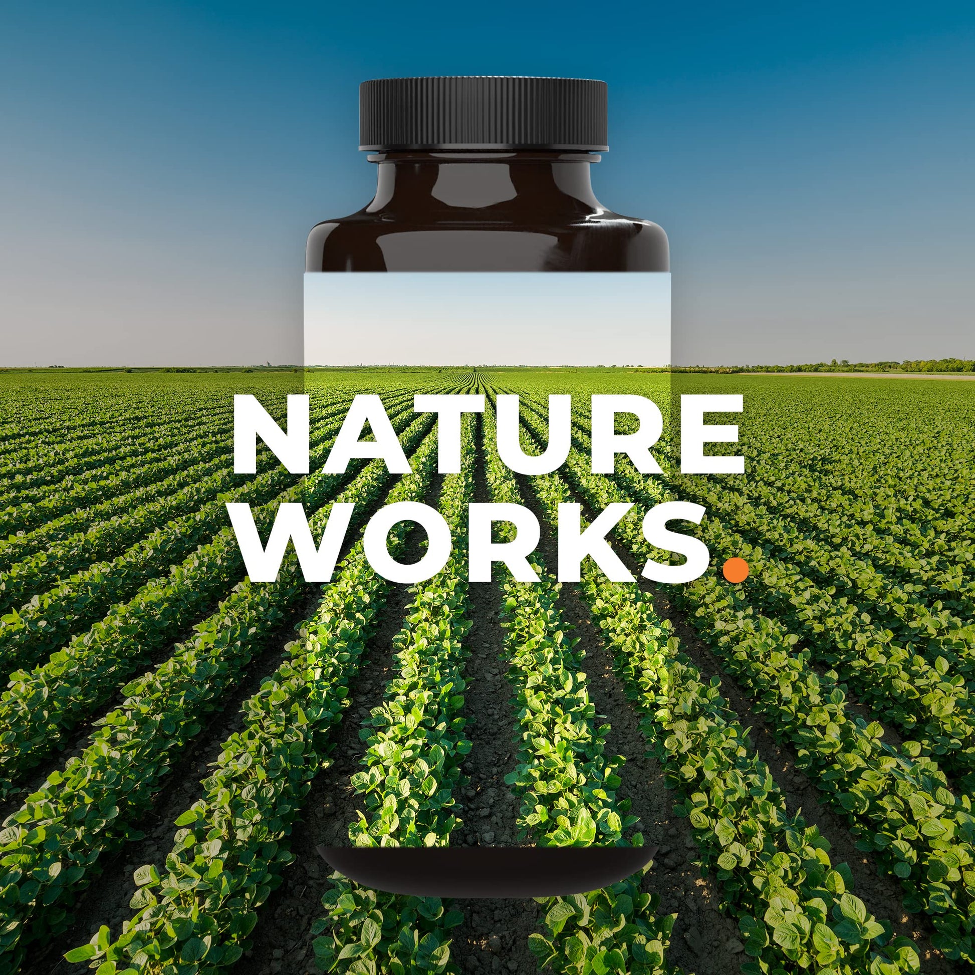 PreMense-T - PMS Relief Supplement - Ginger, Cramp Bark, Black Cohosh, Dong Quai, Chasteberry & Vitamin B6 LifeSeasons