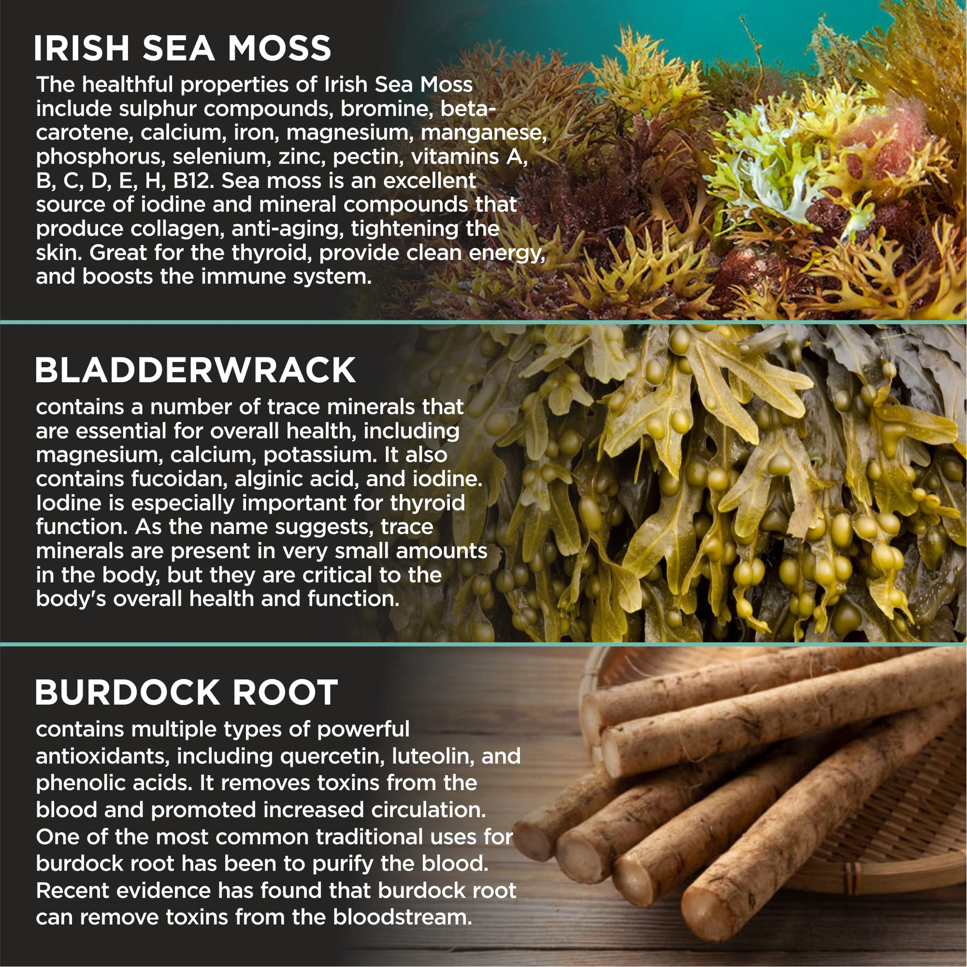 HerbaMe Organic Irish Sea Moss with Bladderwrack, Burdock Root & Black Pepper Extract HerbaMe