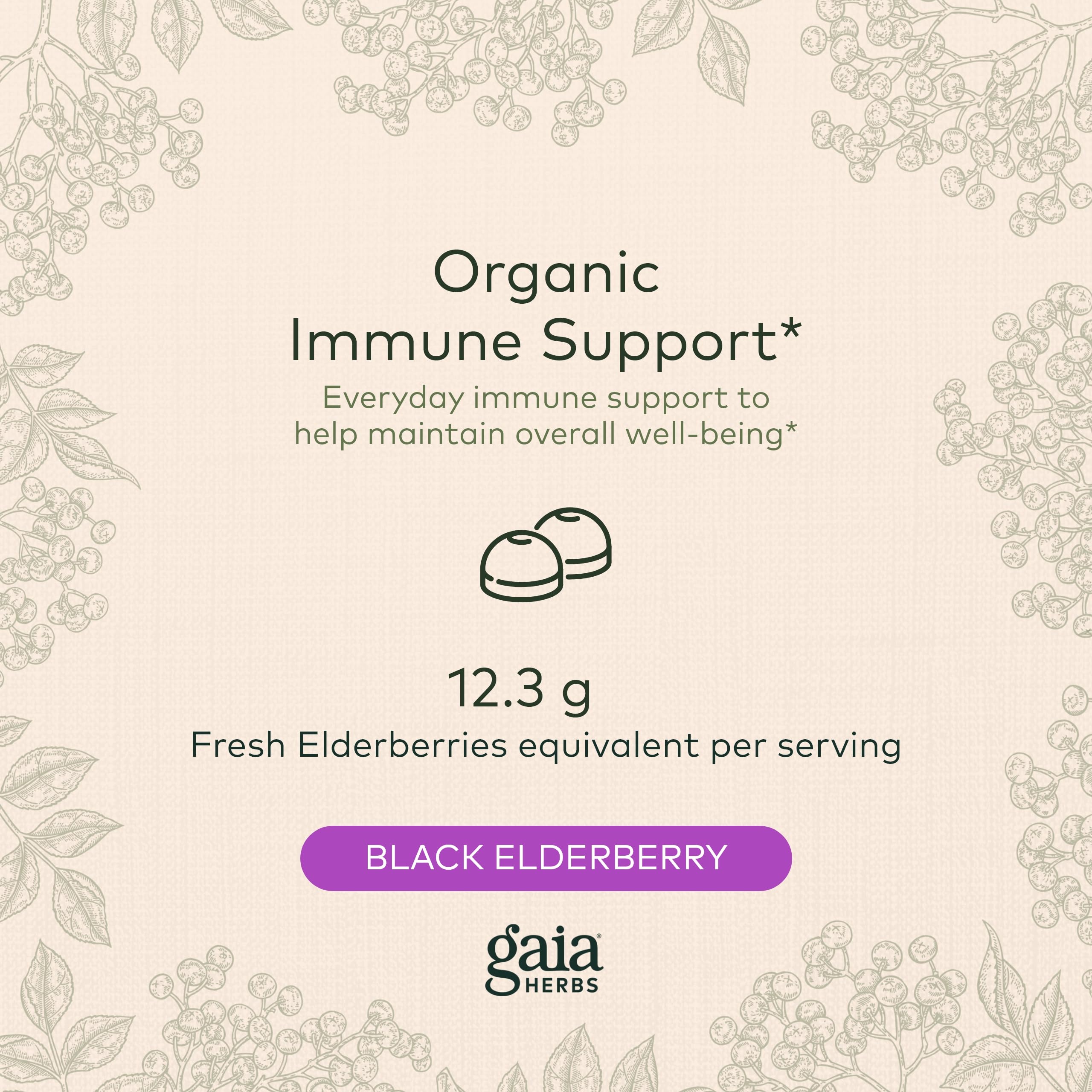 Gaia Herbs Black Elderberry (Sambucus Nigra) Extra Strength Gummies Gaia Herbs