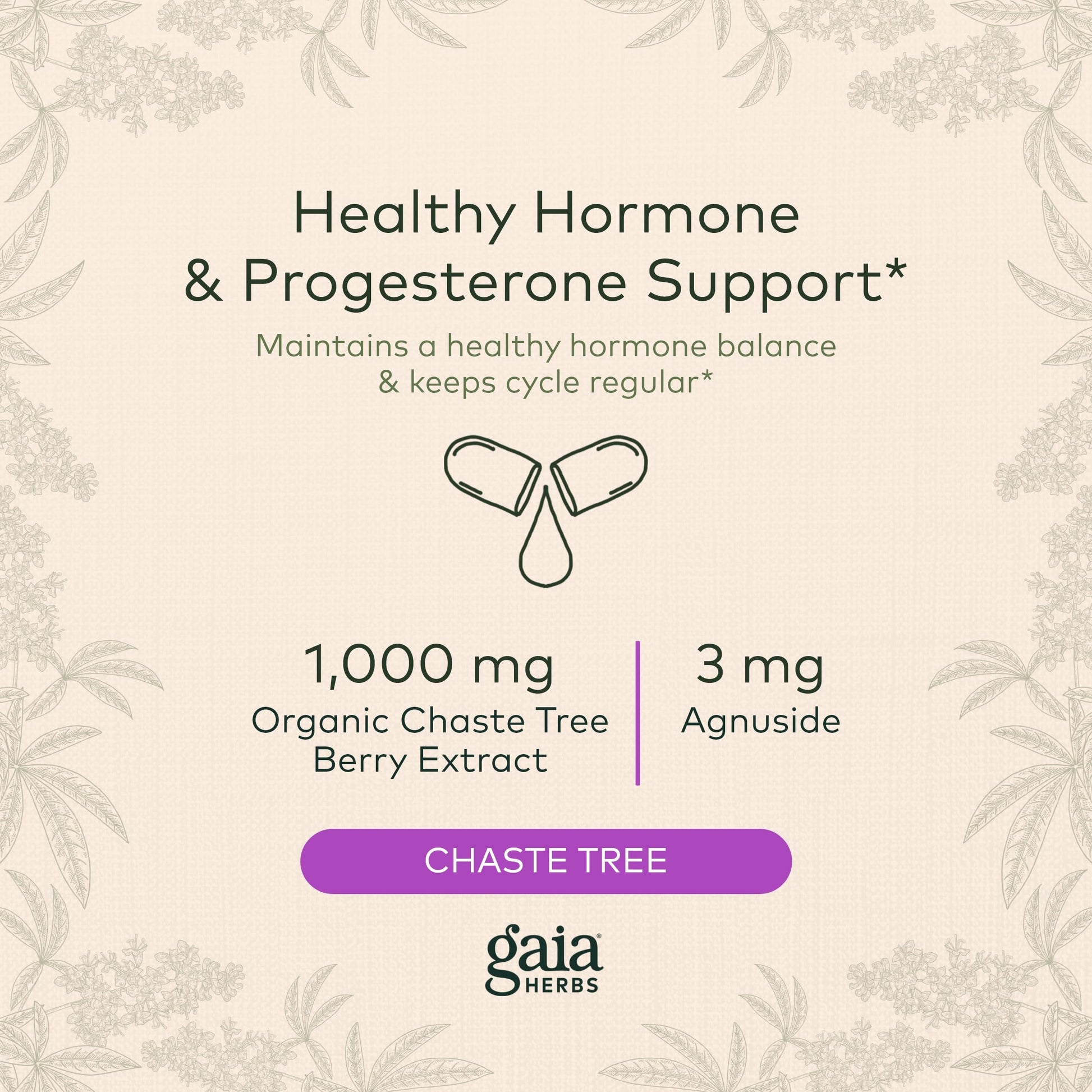 Gaia Herbs Vitex Berry (Chaste Tree) - Supports Hormone Balance & Fertility Gaia Herbs