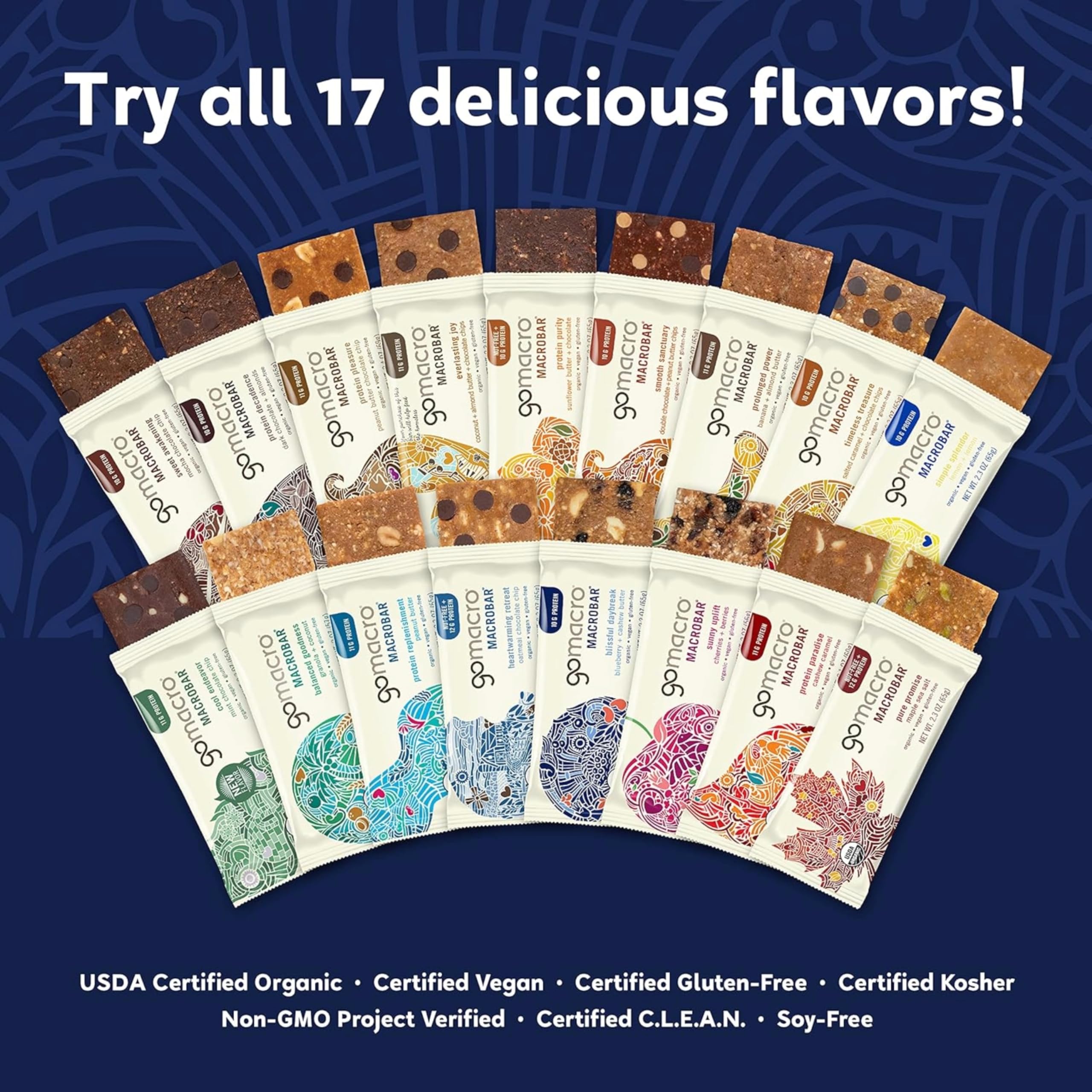 GoMacro Macrobar Organic Vegan Protein Bars - Blueberry + Cashew Butter , 2.3 Ounce GoMacro