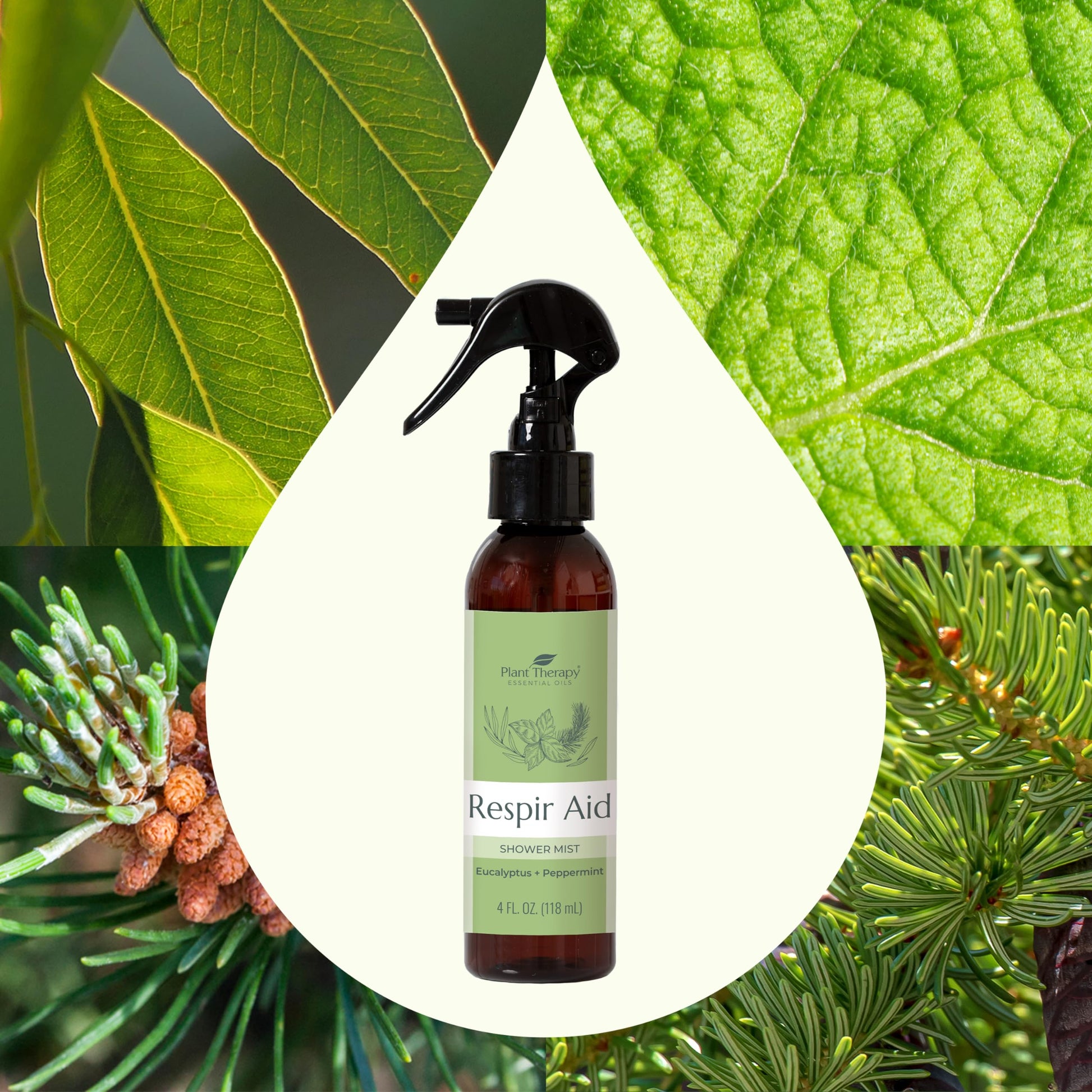 Plant Therapy Respir Aid Shower Mist 4 oz Refreshing & Crisp Aroma, Great to Help Clear Congestion Plant Therapy