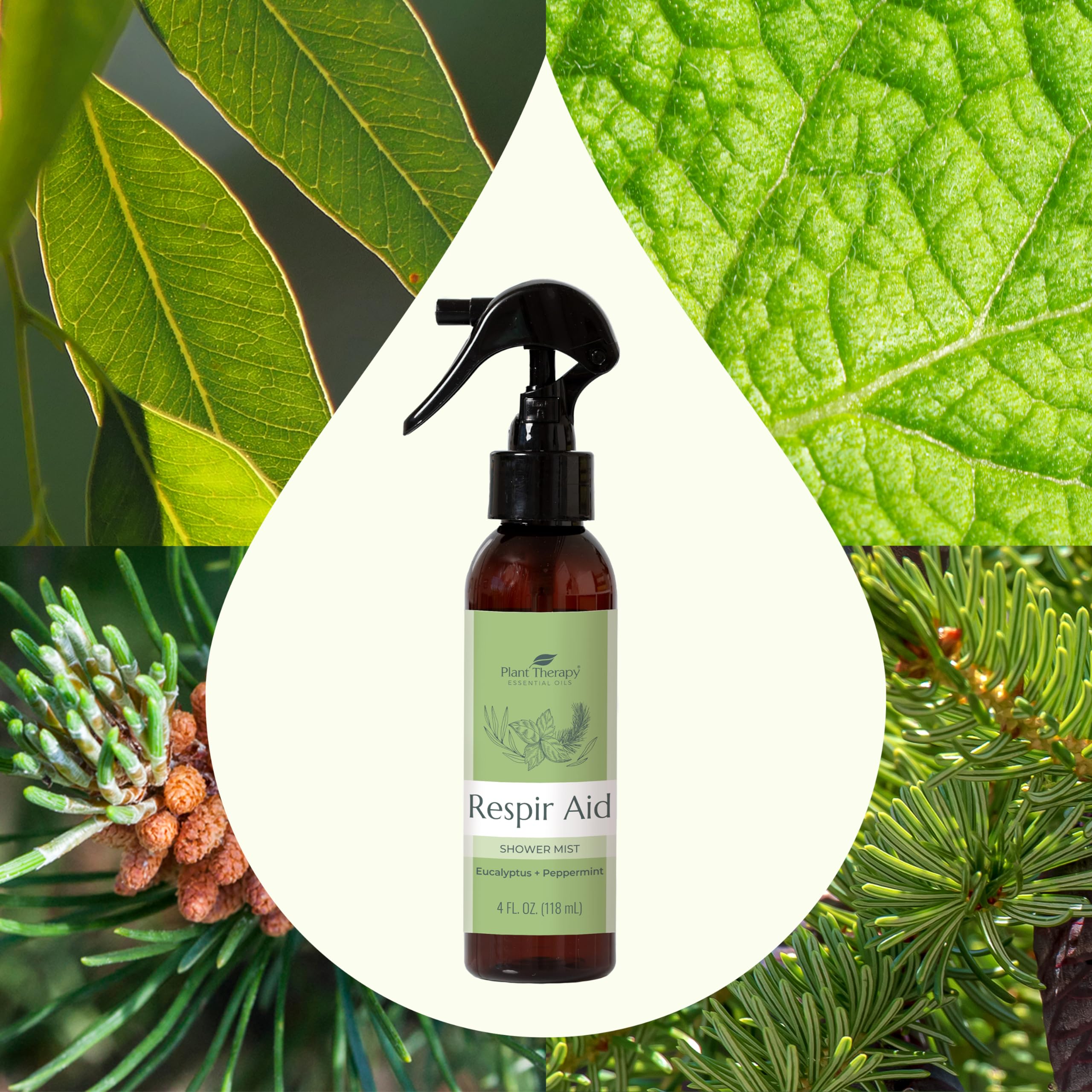 Plant Therapy Respir Aid Shower Mist 4 oz Refreshing & Crisp Aroma, Great to Help Clear Congestion Plant Therapy