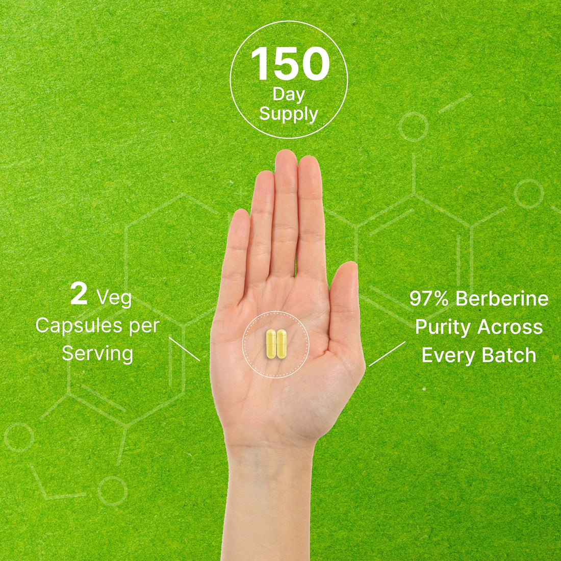 Berberine Supplement, 1,000mg Per Serving, 300 Veggie Capsules – 97% Pure Berberine 